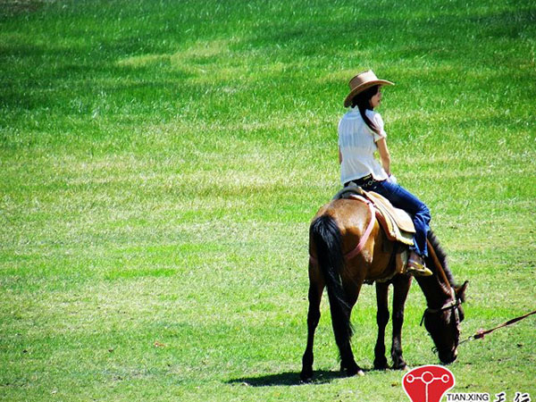 昆明、麗江豪華6天休閑游