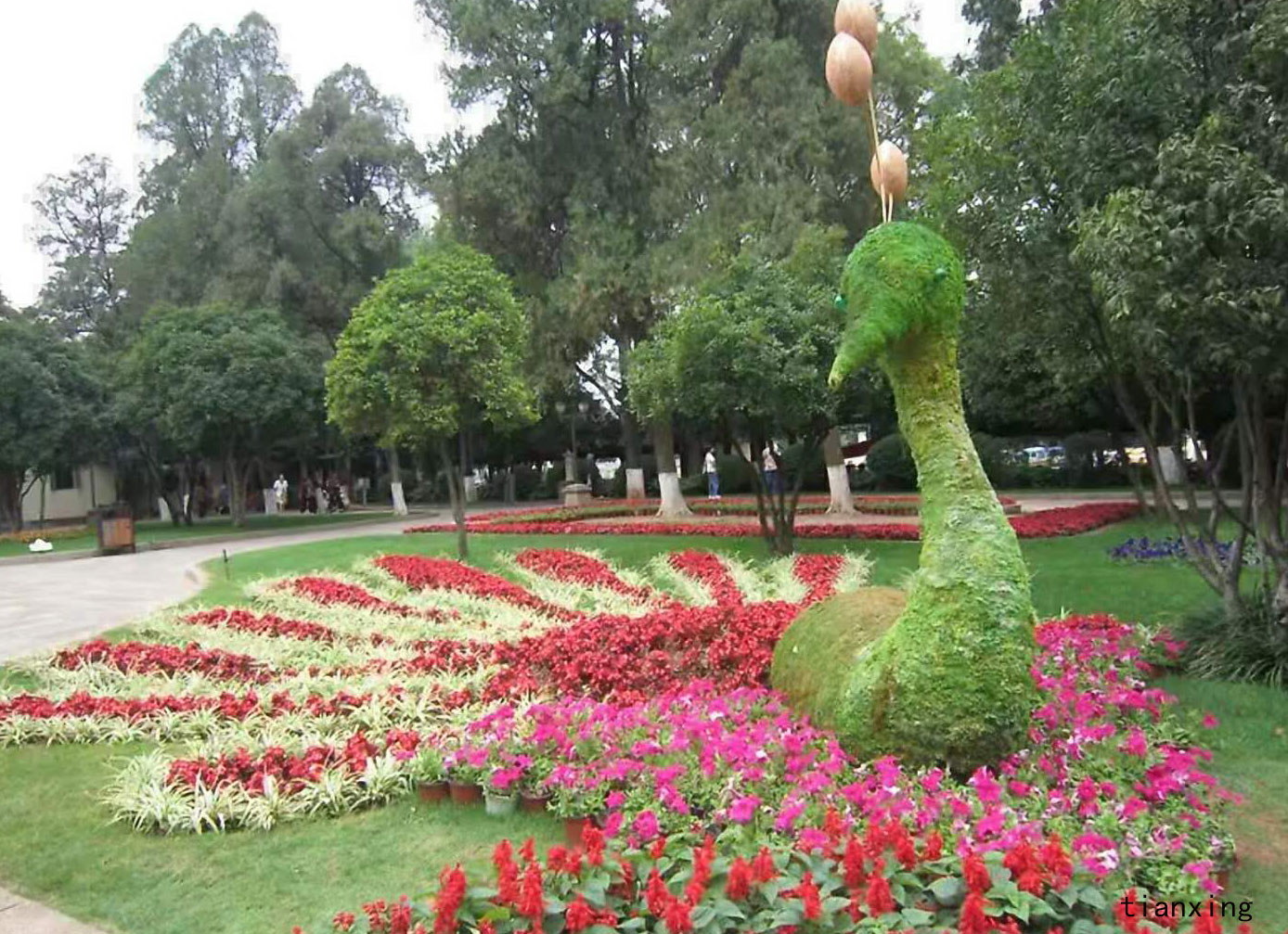 大觀園美景 大觀園美景