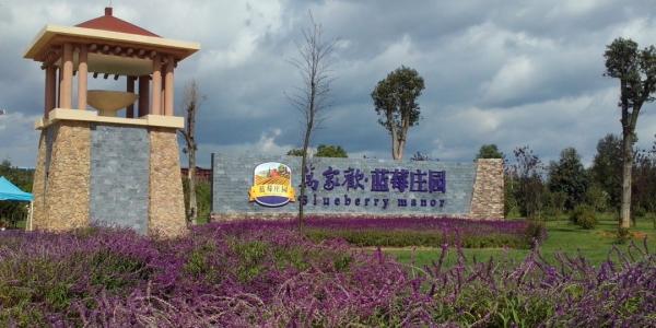 昆明石林萬(wàn)家歡藍(lán)莓莊園旅游攻略