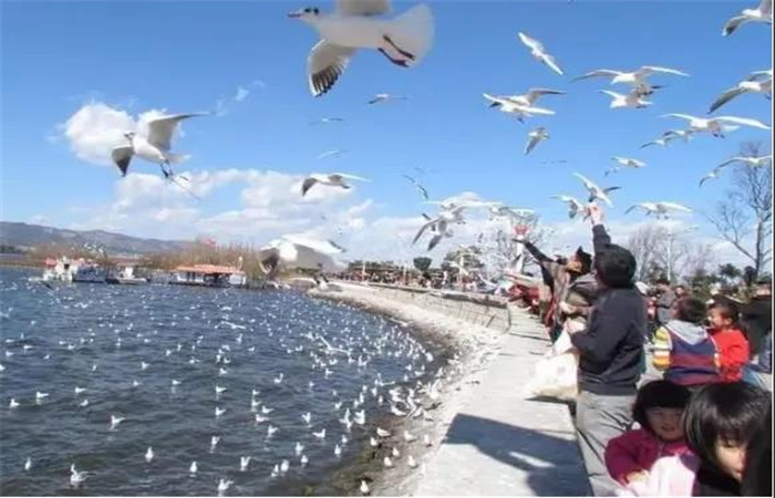 有山、有海、有古鎮(zhèn)....昆明這些秀麗風(fēng)景邀你來(lái)打卡！