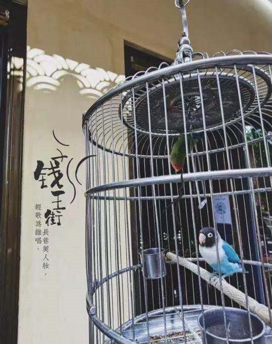 錢(qián)王街街景