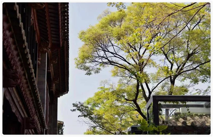 花宿院子 花宿院子