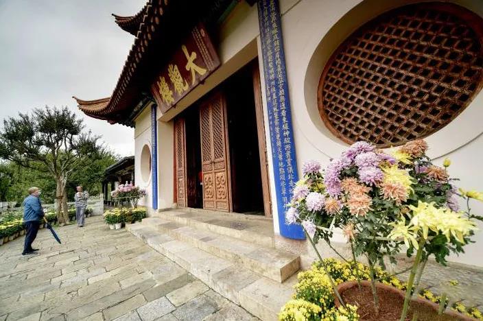 春城無處不飛花，九月賞花何處去？