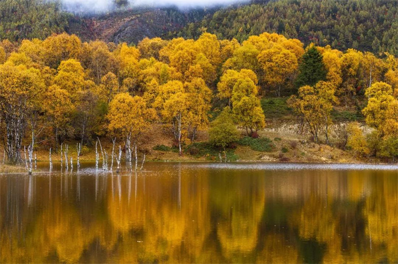 ?昆明策劃公司：云南的秋天“最云南”！15個絕美賞秋地，隨手一拍都適合當(dāng)壁紙！