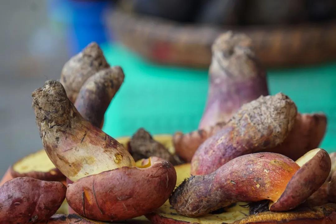 云南人的餐桌有多豐富，生態(tài)滇味等你打卡！  昆明傳媒公司