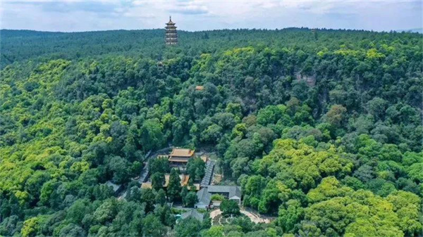 康養+旅游，冬游楚雄就選這條自駕線路