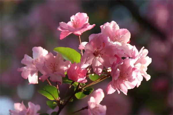 擇一城，愛一生，昆明，絕對是你不錯的選擇！