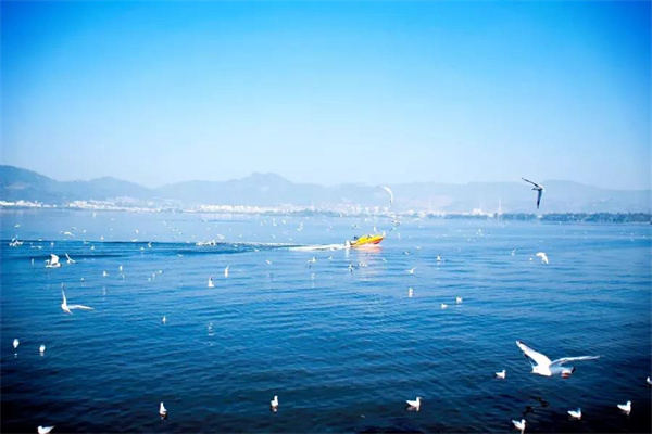 想偷半日浮生閑？來(lái)昆明看天、看湖、看雪景|春城冬韻·美景