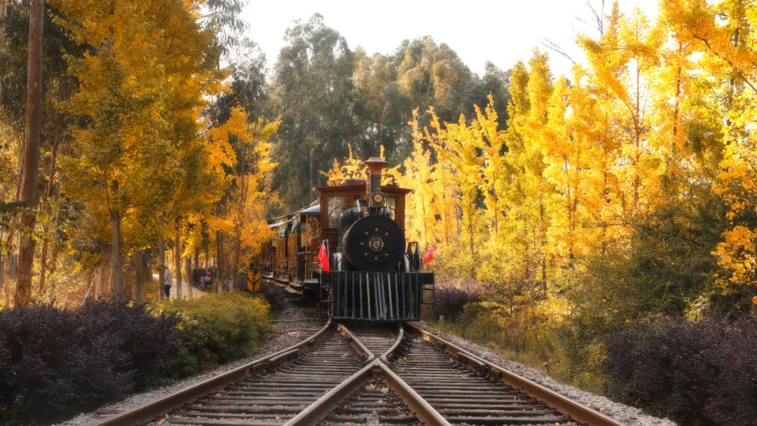 走進(jìn)通話世界 走進(jìn)通話世界